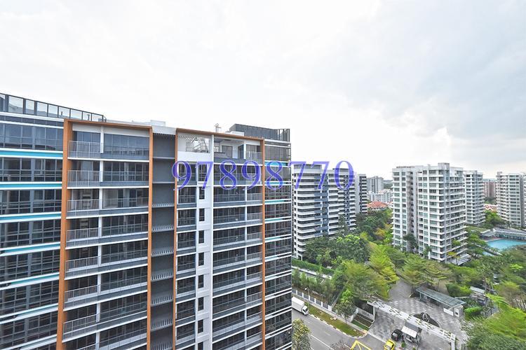 Coco Palms (D18), Condominium #167919212